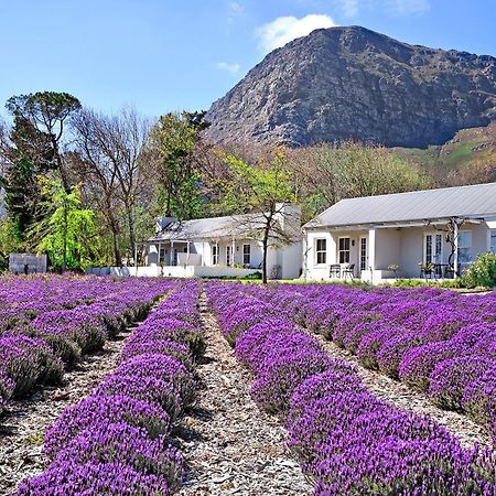 Lavender Farm Boutique Guest House Франшхоек Екстериор снимка