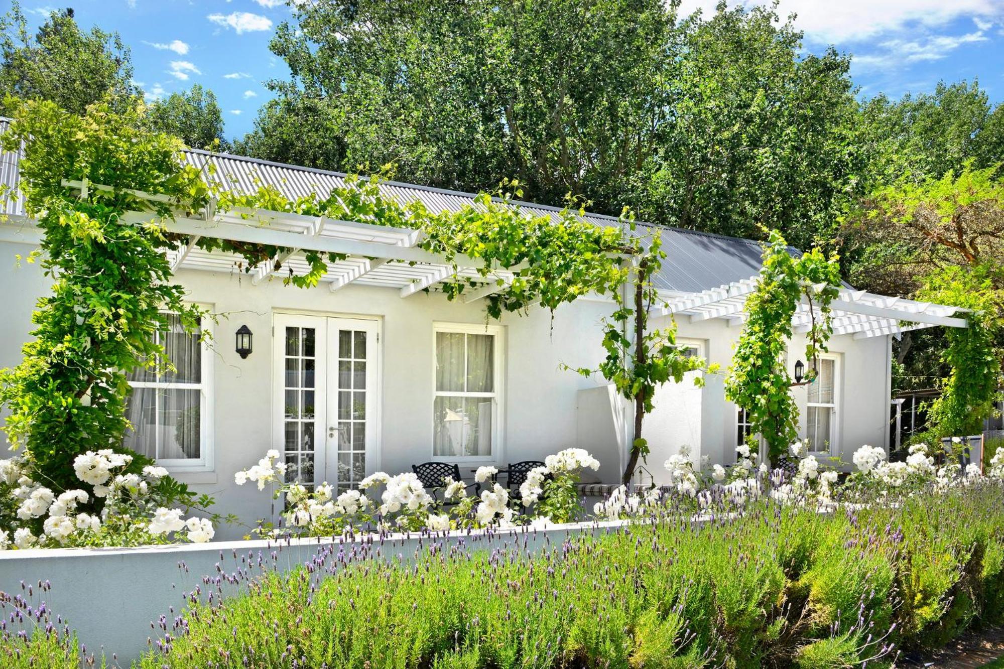 Lavender Farm Boutique Guest House Франшхоек Екстериор снимка